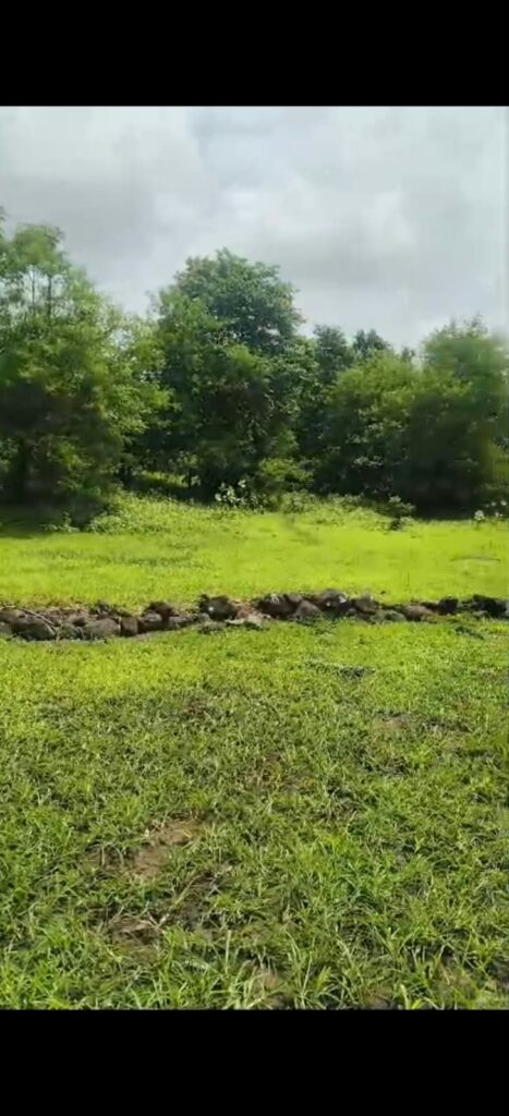 Agricultural Land For Sale in Kokan Dapoli